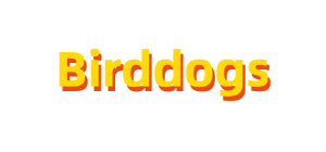 new birddogs logo