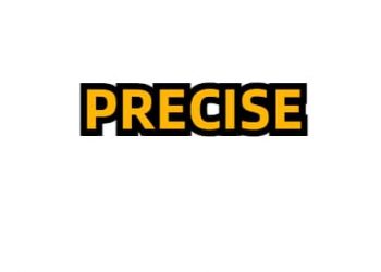 PRECISE Brand logo