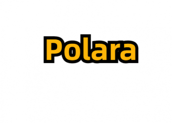 Polara Golf Brand logo