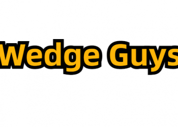 Wedge Guys Brand Logo