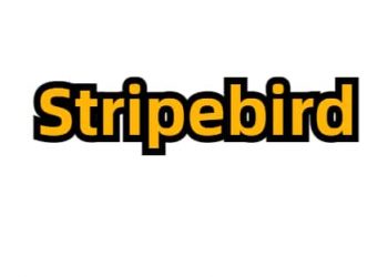 Stripebird Gol Brand logo